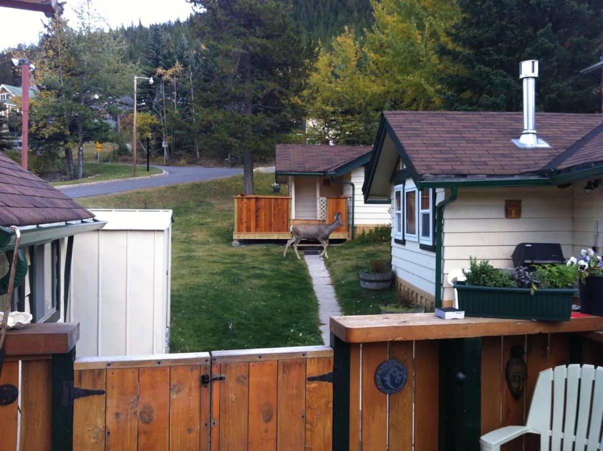Hillside Bungalows بانف المظهر الخارجي الصورة